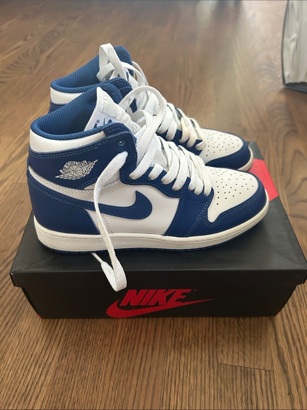 Nike Blue & White Low-Top Sneaker